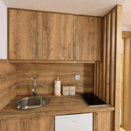 アパート Casa Vrelo, Golija