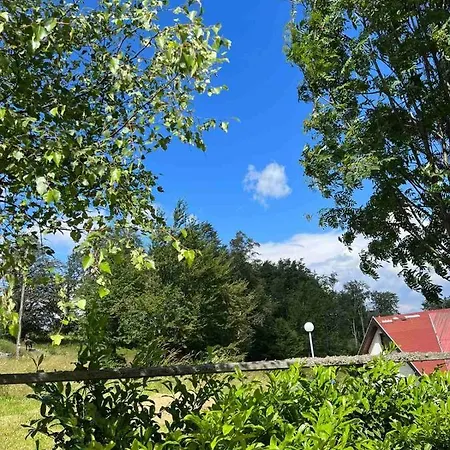 アパート Casa Vrelo, Golija *