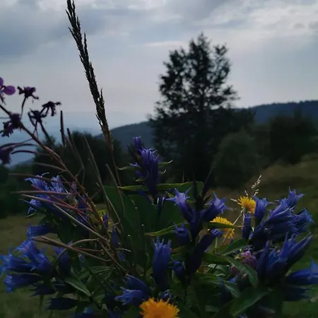 Casa Vrelo, Golija アパート Raška